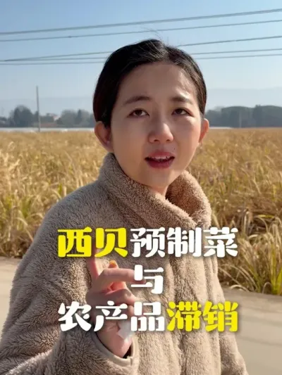 һ��Ԥ�Ʋ˽�������һ��ũ��Ʒ�����õ��� ������·��ʵ�����������#Ԥ�Ʋ� #ũ��Ʒ #ũҵ  #������  #����