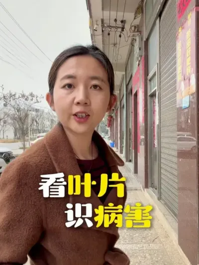 һ��ѧũ֮--��ҶƬʶ������ #ũҵݪֲ #ũ�ʻ��� #���� #�����ʽ�¶ũҵ