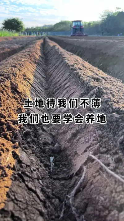 ����������ׯ�ڸ����������Լ��ͳ���׳ʵ����������ũҩ��Ȼ�õ�������Ĺ���Ҳ������ζ����#�������� #�������� #ũҵݪֲ #��̬ũҵ #������ũ֧����ũ