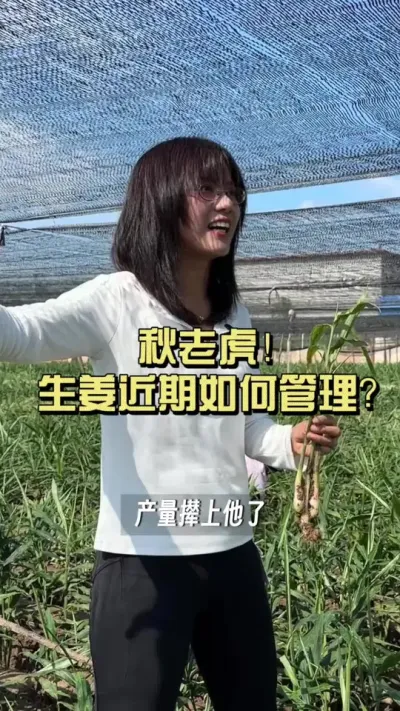 ���ڴ󽪵Ĺ���Ҫ��ע���������#��ũ������2025 #������ѧũ�� #�����ػ��� #��ݪֲ #��ط�