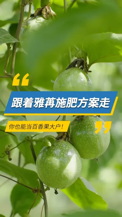 ��������ʩ�ʼƻ�����Ҳ�ܵ�������󻧣�#���۹��� #ũҵݪֲ #���� #����� 