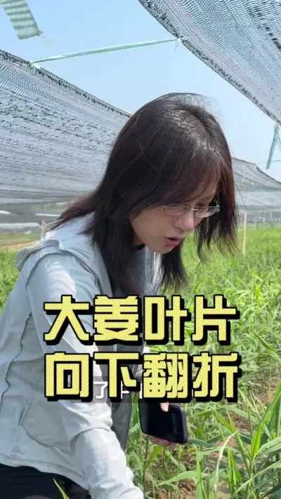 �¶�һ������ҶƬ�����·��ۣ�#��ũ������2025 #������ѧũ�� #�����ػ��� #��ݪֲ