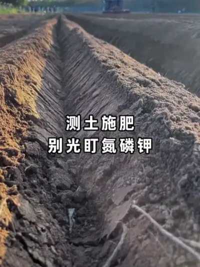 ����������Զ�����ǵ��׼���ô���� #�������� #�л��� #΢���� #ũҵݪֲ #��������