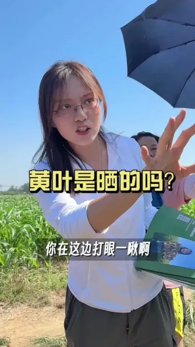 ��Ҷ��ɹ��������Ϊʲô�ͻ���һ����#��ũ������2025 #�����ػ��� #��ݪֲ #������ѧũ��