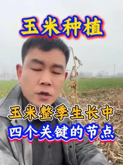 ���׸߲��������� #����ݪֲ #���׸߲� #���׹������� #ũҵ��ũ #����ݪֲ���������