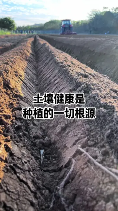 �п���������������ʡ�ĵ�ݪֲ #�������� #�������� #ũҵݪֲ #������ũ֧����ũ #�����޸�