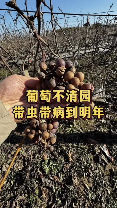 ���Ѳ���԰���������������#���� #����ݪֲ #����ݪֲ����