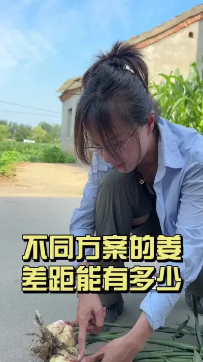 ���ƻ�ݪֲ�Ľ������ж������#��ũ������2025 #������ѧũ�� #�����ػ��� #��ݪֲ