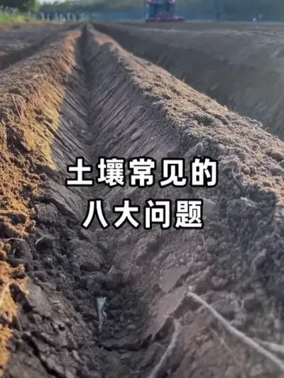 ���������İ˴�����#��������#�����޸�#�������#�л�ũҵ#��ũ