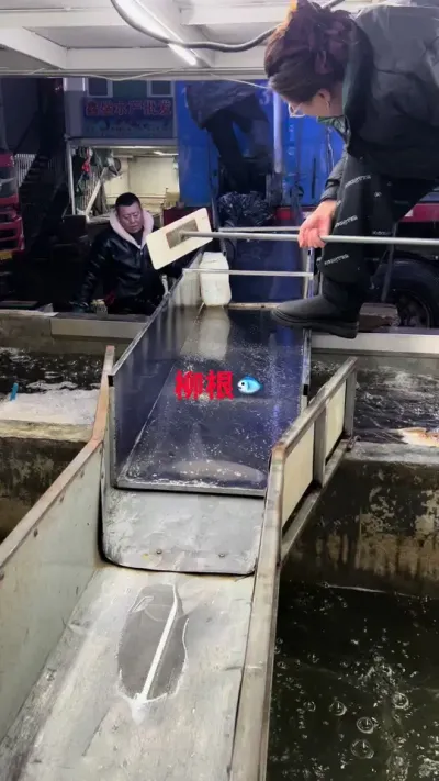 #���� #���ڳ� #��?