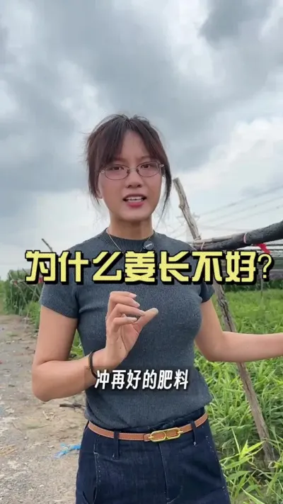 Ϊʲô����Ľ��ձ鳤�Ʋ�̫�����������Ҷ�ӵı������֪����&hellip;&hellip;#��ũ������2025 #�����ػ��� #������ѧũ�� #��ݪֲ