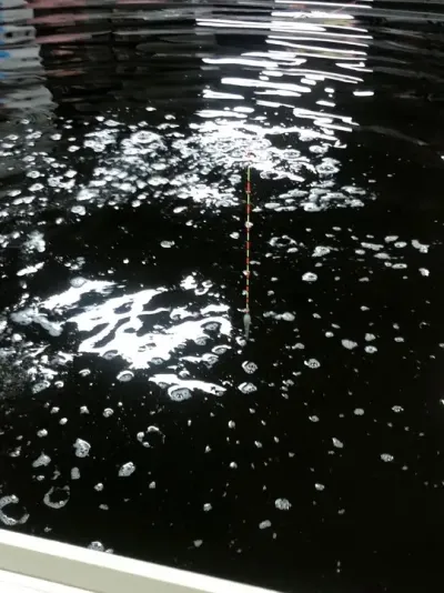 ��?����ƽ�������Ѿ�λ��רΪ��λ���Ѽӳ�����#������� #����