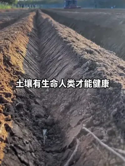 ������ʮ����������͸֧��̫����������һ���»��� #�������� #�������� #ũҵݪֲ #������� #�л���