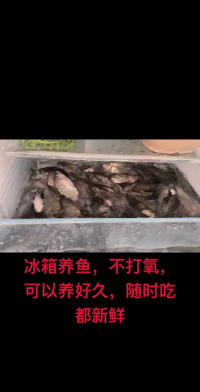 ���������������춼����