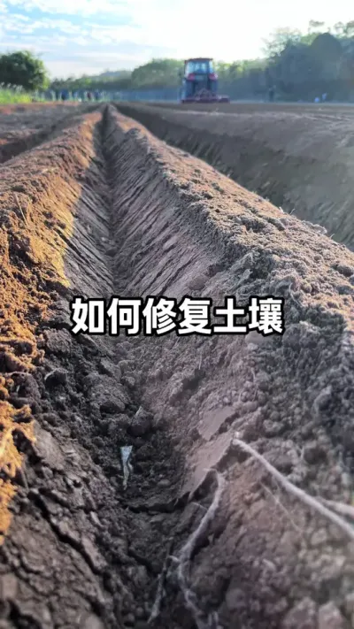 ��ϸ����ô�޸������� #�������� #�����޸� #ũҵݪֲ #�Ȳ����� #�������