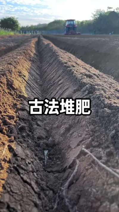 ��Ҳ�������ڵ��������ǻ� #�ѷʷ��� #�������� #���˵��ǻ� #ũҵݪֲ #��̬ũҵ