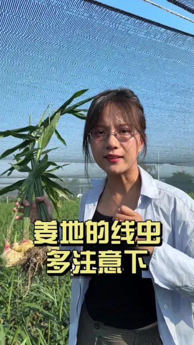 ��������߳����Ҫ��ע���£�#��ũ������2025 #������ѧũ�� #�����ػ��� #��ݪֲ #�߳�