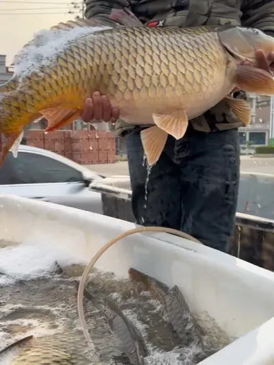 ��Ʒ�����ƽ������#�� #�������