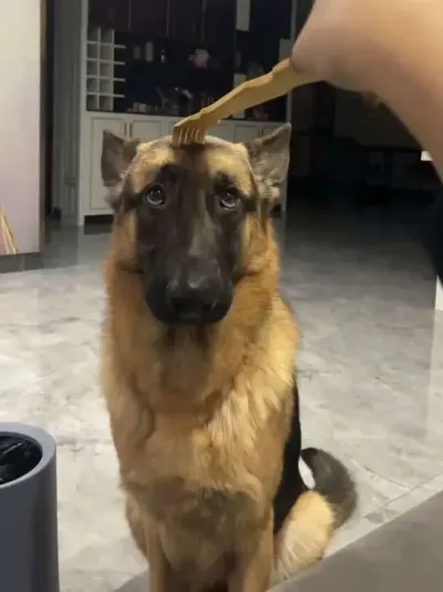 �⹷��ߣ����#�ȳ� #���� #�����ɾ��� #�������ɻ���Ϊ