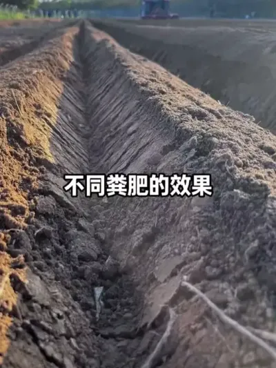 ���ࡢţ�ࡢ���ࡢ��ࡢ�������������ô������������������ĸ���������#��ʻ��� #�л��� #�������� #̼���� #�������