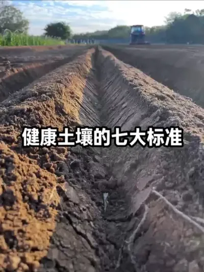 �����������ߴ��׼ #�������� #�л��� #�����ṹ #ũҵݪֲ #��������