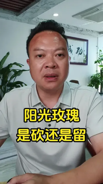 ����õ���������ǿ��վ�����#����õ������ #���� #ݪֲ