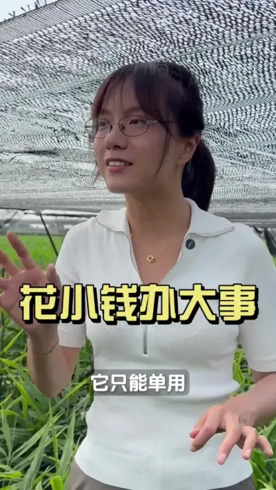 ����СǮ���ܽ���󽪾�������ҶƬή������Σ�#��ũ������2025 #������ѧũ�� #�����ػ��� #��ݪֲ #ή��