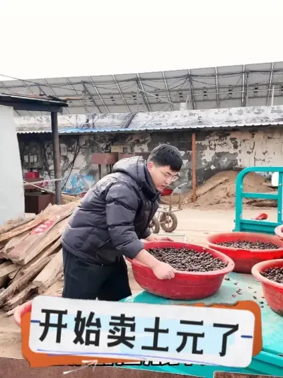 ֻ�����������Ż����ֳɵĻ�������Ԫ���ڳ������� #��ֳһ��ƽ����¼ #��Ԫ��ֳ #���紴ҵ��ֳ #��Ԫ��ֳ���� #��ֳ