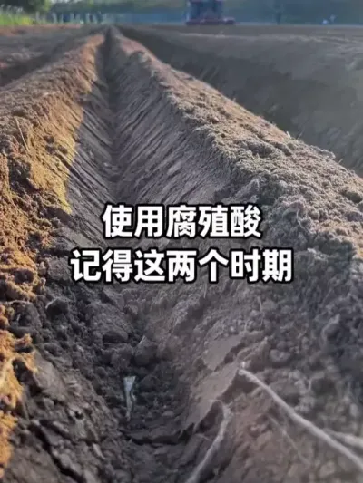 ��ֳ���������Ҫʹ��ʱ�� #��Դ��ֳ���  #�׷� #׷�� #��߷�Ч #��������