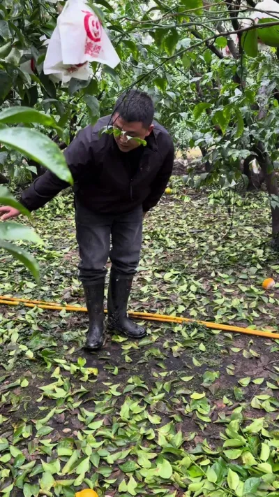 ��Ĺ�԰����û����������#��ũ #ũҵݪֲ #�������� #���溦����