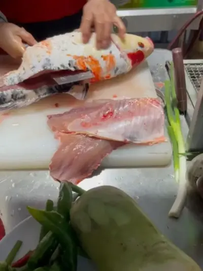 #����#�����#��Ʒ����#���������