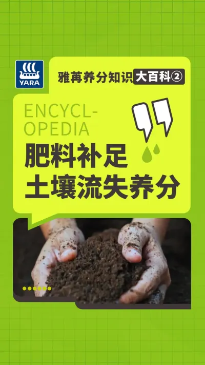 ��������֪ʶ��ٿƢ������ϲ���������ʧ����#���۹��� #ũҵݪֲ #���� #ˮ�ܷ� #���Ϸ� 