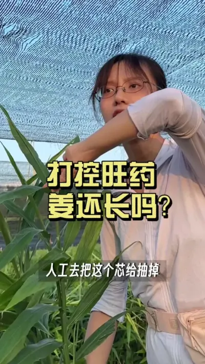 �������ҩ����Ҳ��������զ��������#��ũ������2025 #�����ػ��� #������ѧũ�� #��ݪֲ