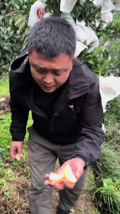 �����������˳� ũ������������#��ũ #ũ�� #��ʱӰ��