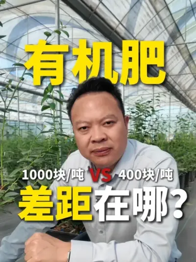 1000��1�ֺ�400��1�ֵ��л�����������Ķ��� #ũҵ���� #�л����� #ר�÷��� #���Ϸ��� #Ҷ�����