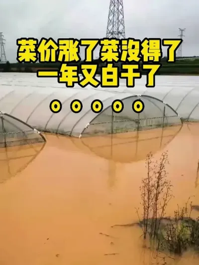 �˼����˲�û������һ��׸��� #���� #�������� #������ˮ #��ũ #������ǰ����Ϊ��