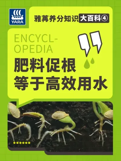 ��������֪ʶ��ٿƢ������ϴٸ�=��Ч��ˮ��#���۹��� #ũҵݪֲ #���� #ˮ�ܷ� #���Ϸ�