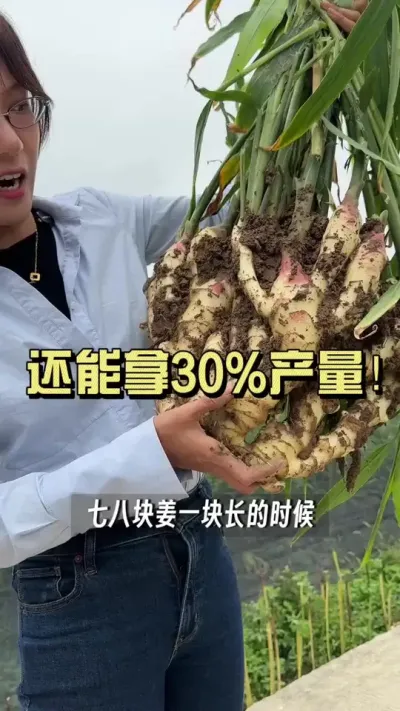 ���ڵ�����ǰ������������30%�Ĳ�����#��ũ������2025 #������ѧũ�� #�����ػ��� #��ݪֲ