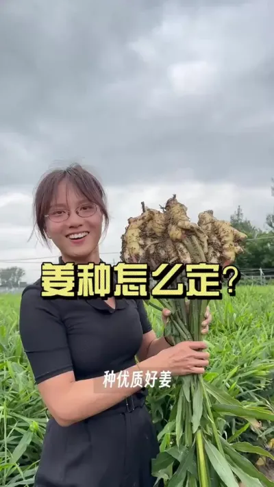 ������˵һ�½�����ô����#��ũ������2025 #������ѧũ�� #�����ػ��� #��ݪֲ #����