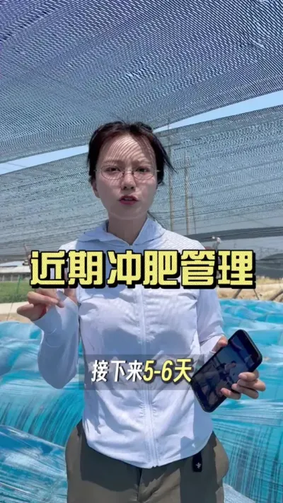 4月2号下地种的，看看现在咋样了&hellip;&hellip;#新农人计划2025 #来抖音学农技 #生姜种植 #乡村生活家