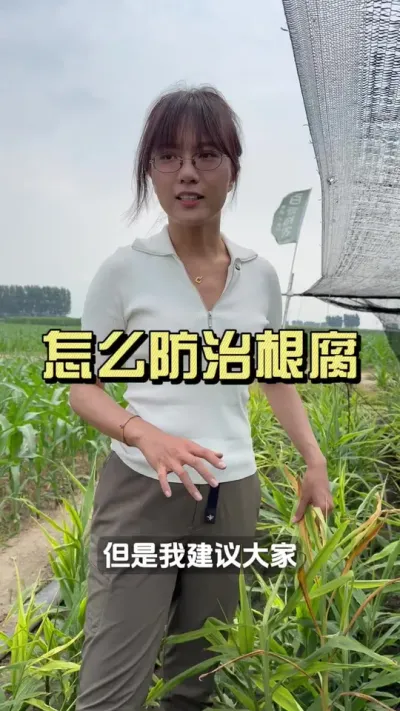 ����ôȥ���θ�����#��ũ������2025 #������ѧũ�� #�����ػ��� #��ݪֲ #����