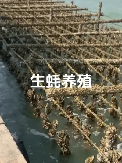 �����ֳ #��� #�����ֳ