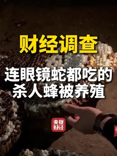 #�����ع����˶�����ֳ���� ��#���۾��߶��Ե�ɱ�˷䱻��ֳ  #�ƾ��Ӳ� #ý�徫ѡ����