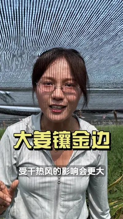 Ѫ���ѵ����ҶƬ��������綨��̿�Ҳ���#�� #���溦���� #��ũ������2025