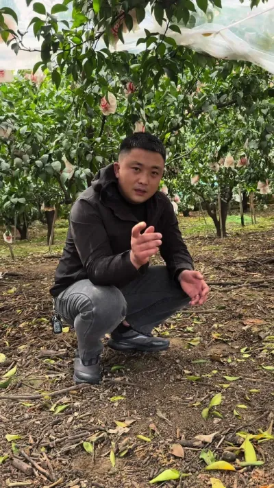 �⼸����ĸ�Ĥ�ҰҸ̵�Ҷû��#��ũ #ũҵݪֲ #ݪֲ����