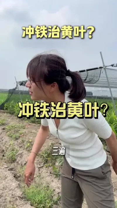 �󽪻�Ҷ�������α겻�α���һ��һ�������û���õ� #�����ػ��� #��ũ������2025 #������ѧũ�� #�ƻ�