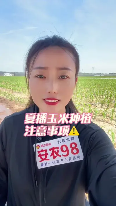 玉米种植那些事儿！ 小麦🌾都要收获了，我们慢慢讲一下玉米的一些管理，希望对于我们种植玉米的老乡们有一定的帮助！#三农 #抖音助农 #抖音助农扶农 #玉米种植 #安农98