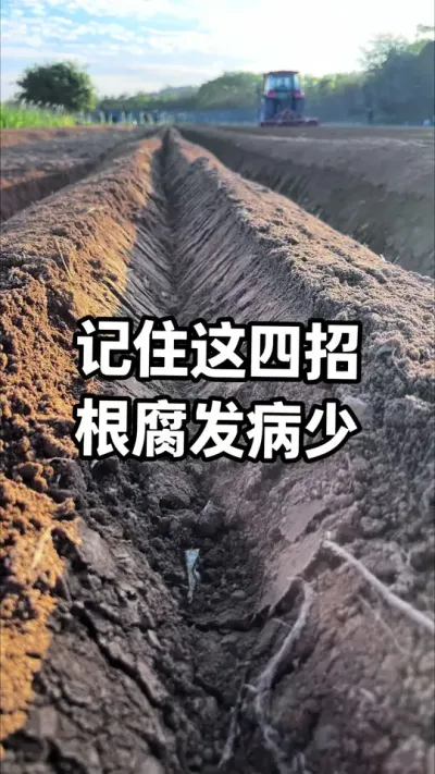 ���н��͸����������� #������ #�������� #��̬ũҵ #������ũ֧����ũ #��������