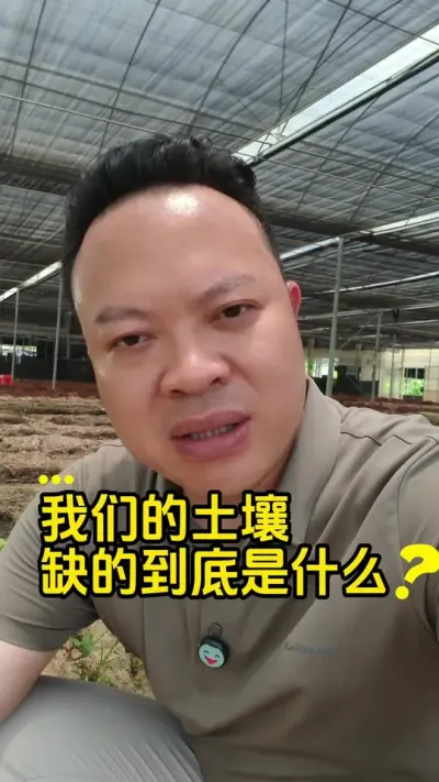 �����ش򽻵���ʮ��������ʶ��������֪����������ȱ��ʲô����#�������� #ݪֲ #ũҵ