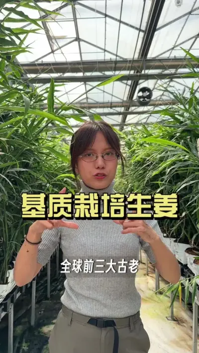 ����������ݪֲ����٭�������˿����������ô��#����ݪֲ #�ٷ�ԣũ #��ũ #������ѧũ�� #��ũ������2025